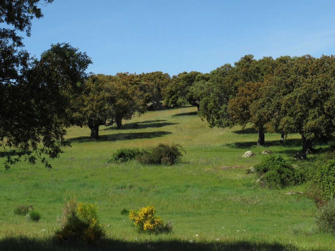 Land in Ledesma, Castile and Leon, Spain 3 - 16485267