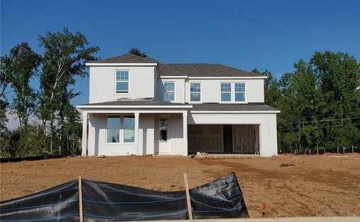 Haus in McDonough, Georgia, Vereinigte Staaten 1