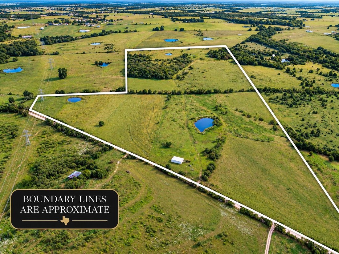 Land in Blooming Grove, Texas, United States 5 - 18969788
