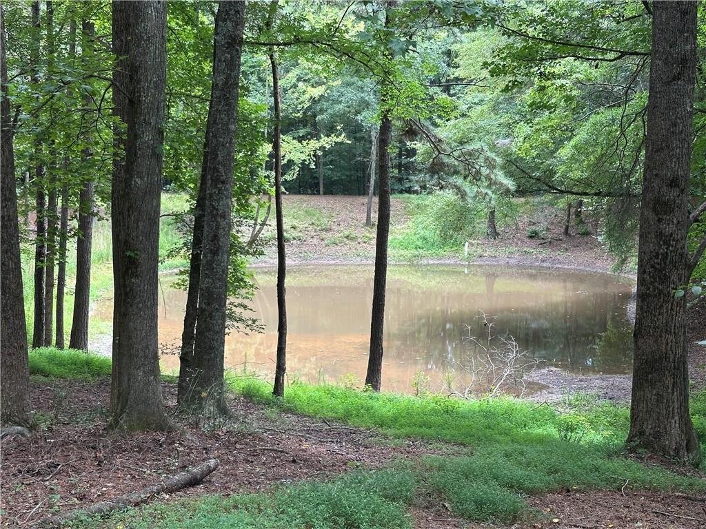 Land in Milton, Georgia, United States 2 - 18973875