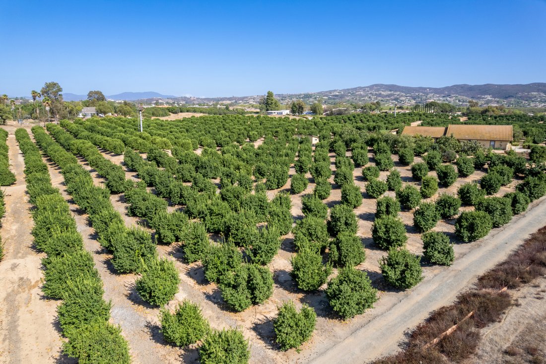 Temecula, California, United States 1 - 18973392