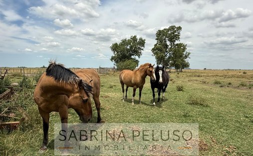 Land in Cañuelas, Buenos Aires Province, Argentina 1