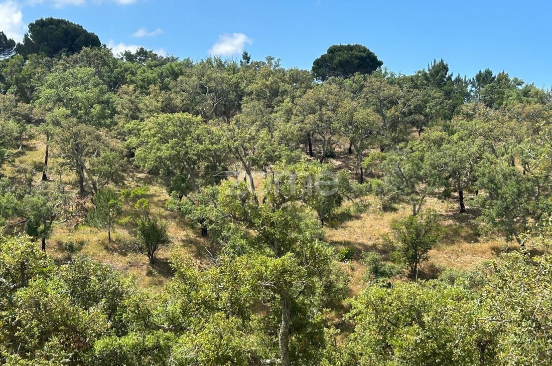 Land in Grandola e Santa Margarida da Serra, Setubal, Portugal 5 - 18971540