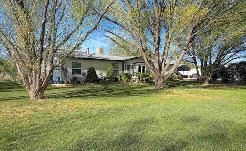 Delta, Colorado, United States 1