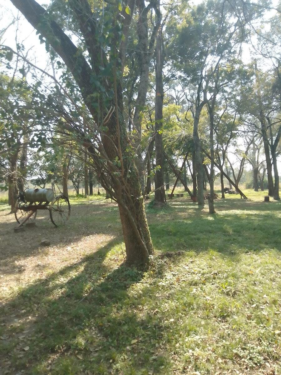 Farm Ranch in La Leonesa, Chaco Province, Argentina 5 - 18968447