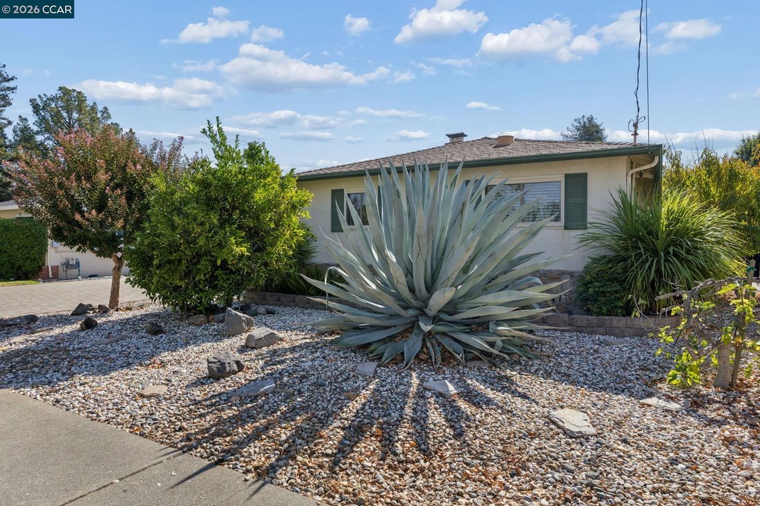 House in Concord, California, United States 3 - 18979628