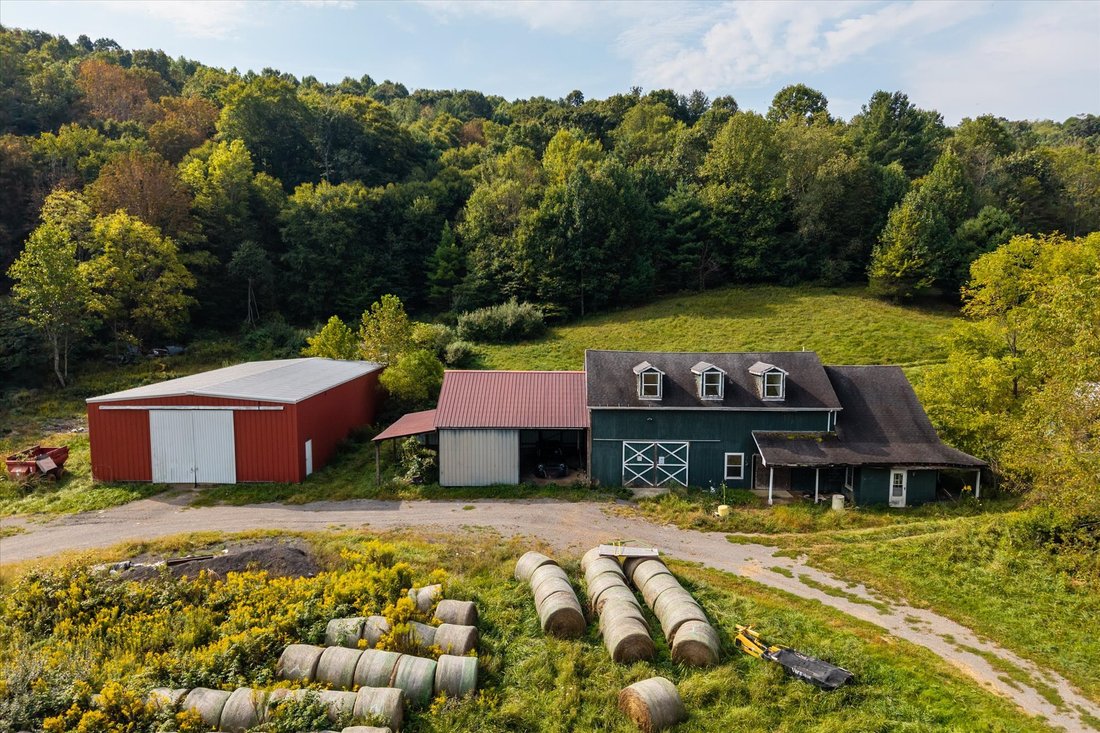 Farm Ranch in Bland, Virginia, United States 3 - 18974427