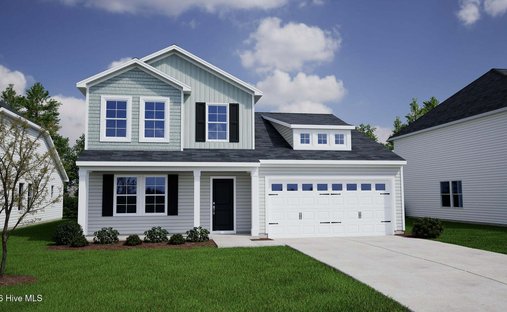 House in Castle Hayne, North Carolina, United States 1