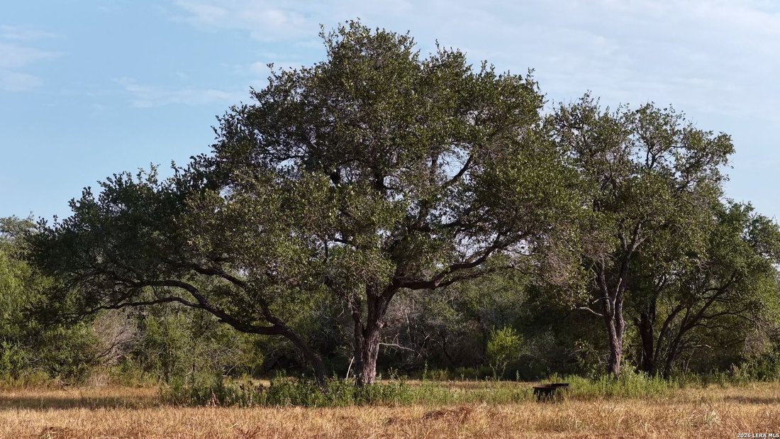 Farm Ranch in Refugio, Texas, United States 1 - 18969686