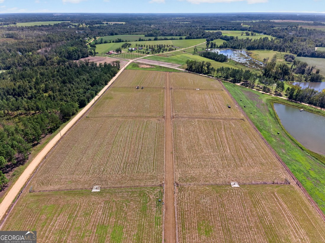 Farm Ranch in Mount Vernon, Georgia, United States 1 - 18969729