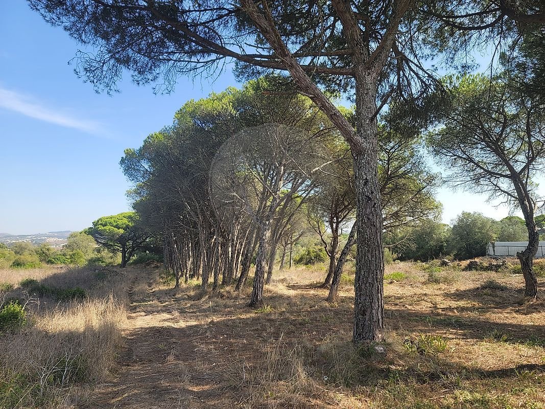Land in São João das Lampas, Lisbon, Portugal 4 - 18976213