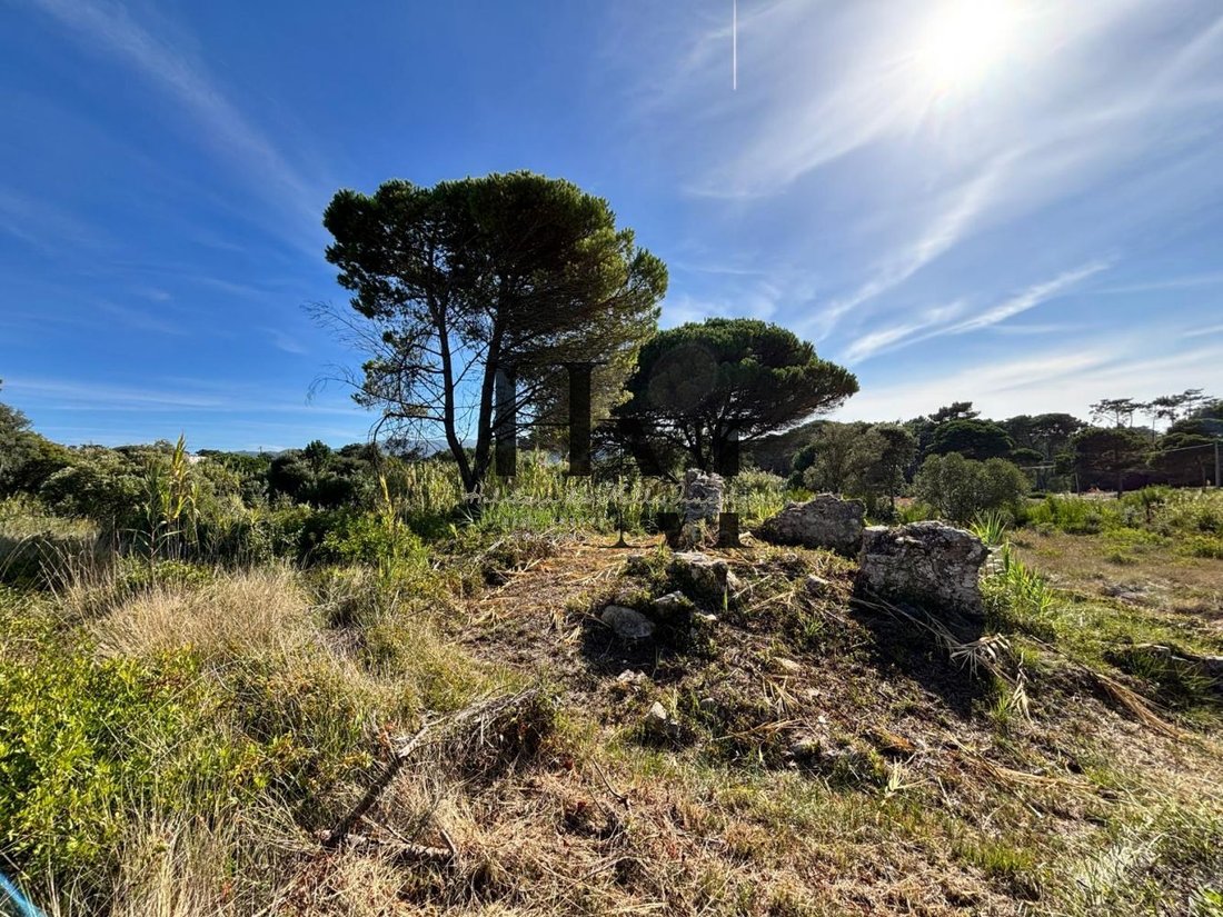 Land in Colares, Lisbon, Portugal 4 - 18837694