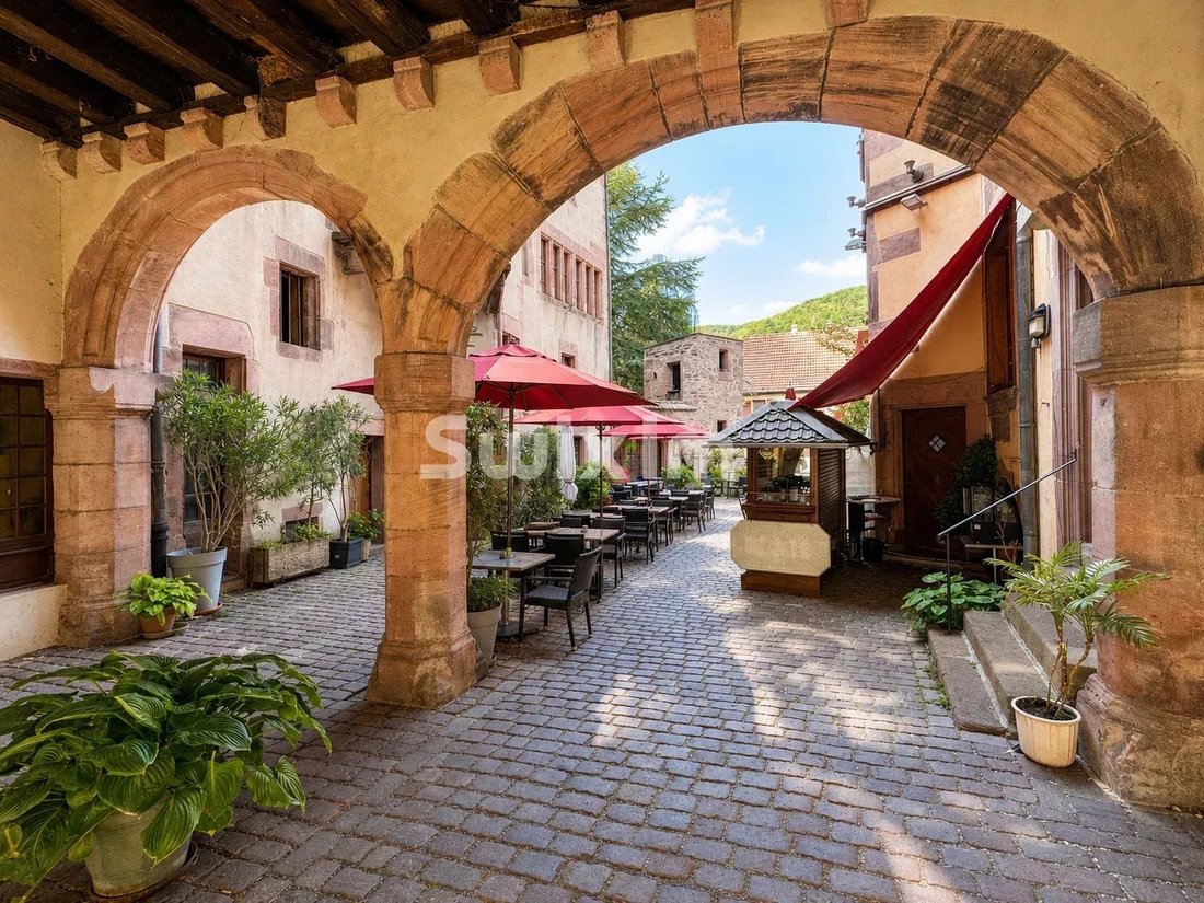 Kaysersberg-Vignoble, Grand Est, France 1 - 18965905