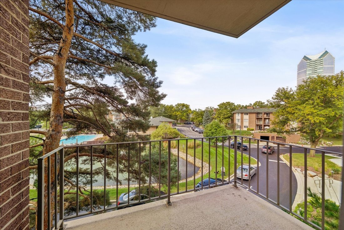 Condo in Oak Brook, Illinois, United States 2 - 18975028