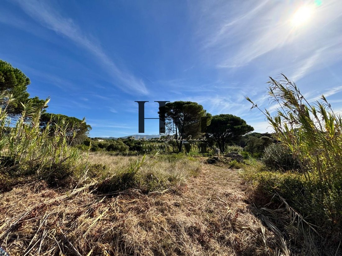 Land in Colares, Lisbon, Portugal 3 - 18837694