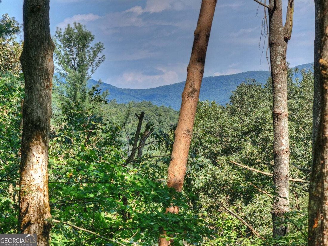 House in Ellijay, Georgia, United States 3 - 17552660