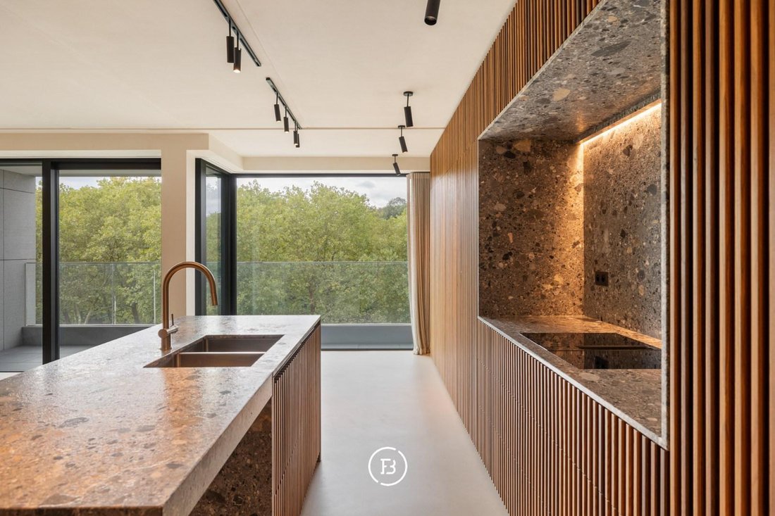 Apartment in Woluwe-Saint-Pierre, Brussels, Belgium 2 - 18969247