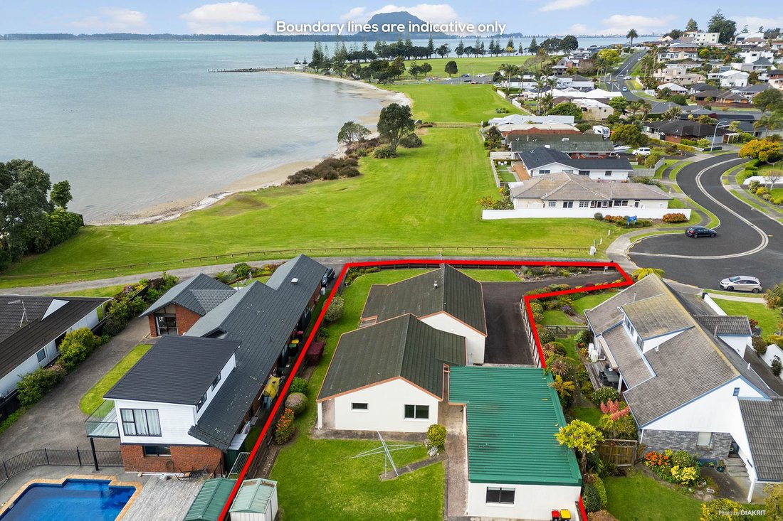 House in Tauranga, Bay of Plenty, New Zealand 1 - 18978674