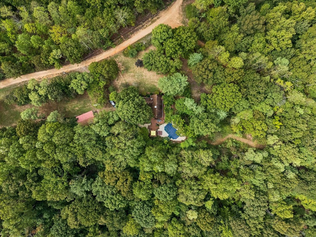 House in Pegram, Tennessee, United States 4 - 18976168
