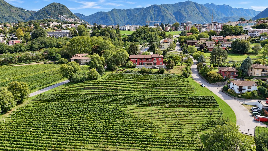 Villa in Lugano, Ticino, Switzerland 1 - 18973995