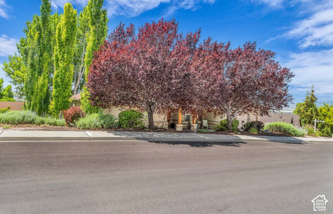 House in Cedar Hills, Utah, United States 4 - 18973768