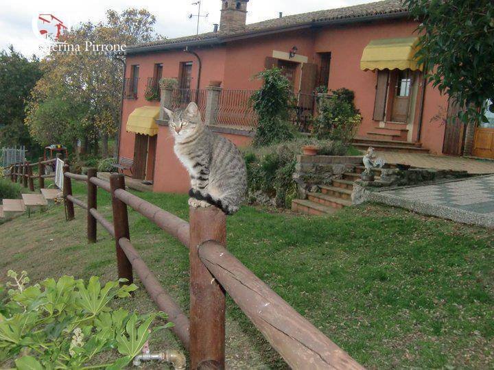 Villa in Terra del Sole, Emilia-Romagna, Italy 4 - 18972578