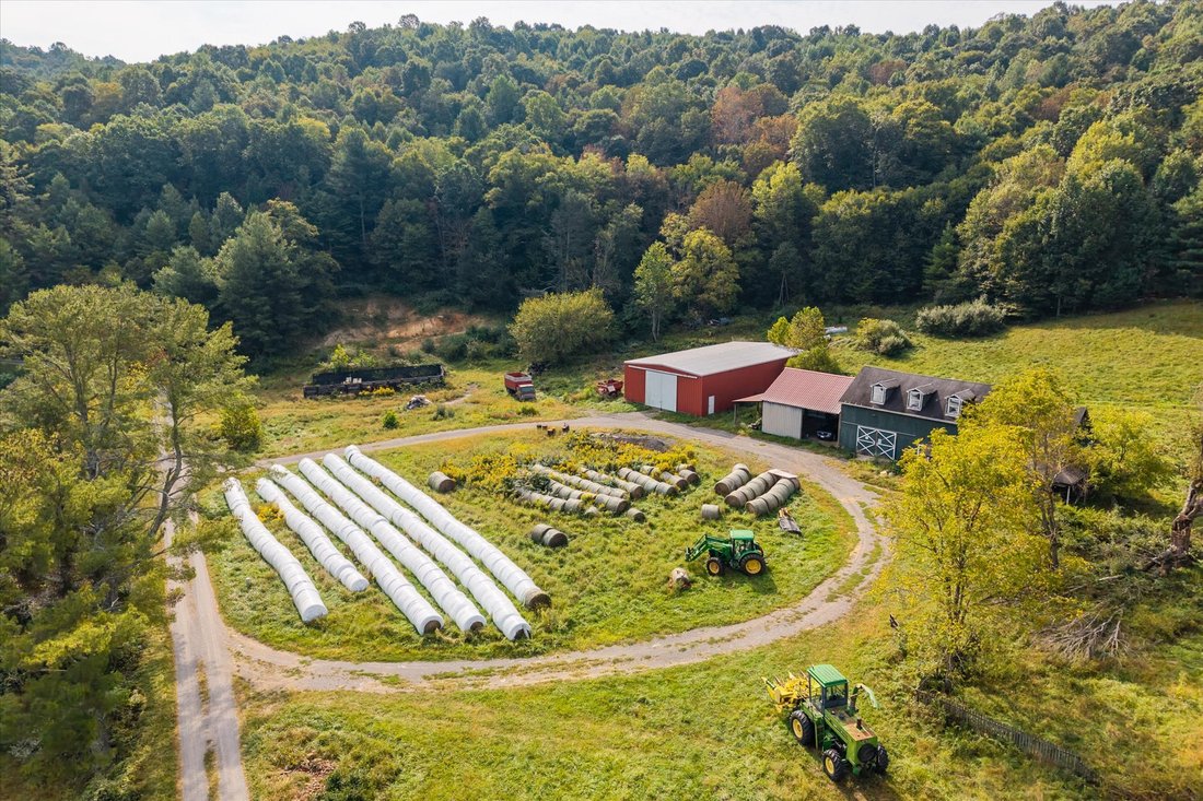 Farm Ranch in Bland, Virginia, United States 2 - 18974427