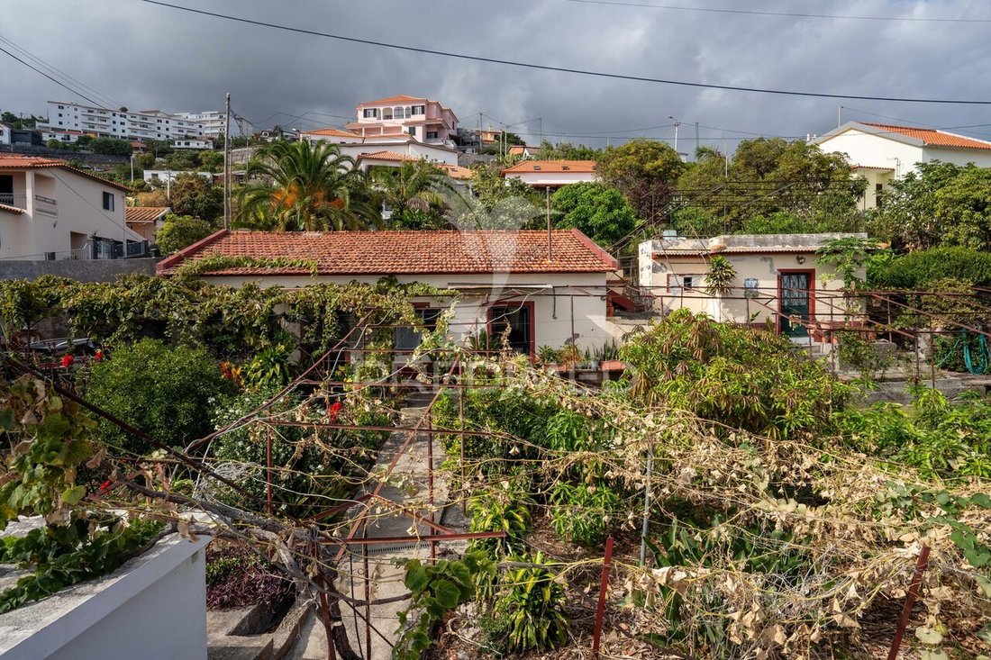 House in Santa Cruz, Madeira, Portugal 5 - 18974298