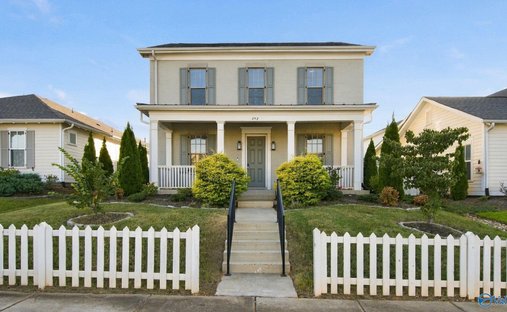 House in Madison, Alabama, United States 1