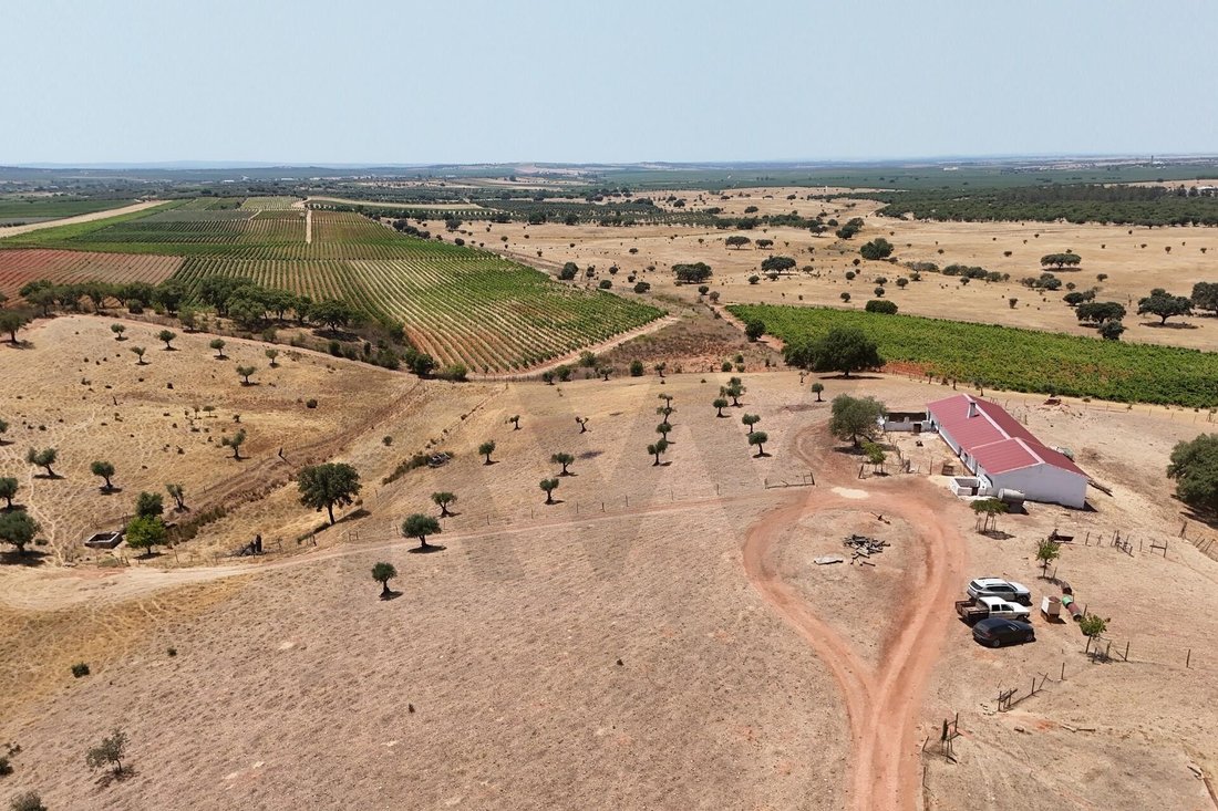 Farm Ranch in Redondo, Évora District, Portugal 2 - 18973792
