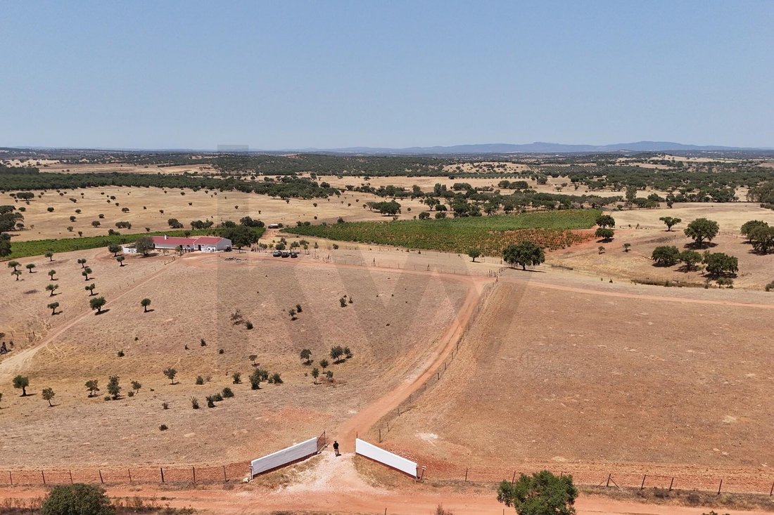 Farm Ranch in Redondo, Évora District, Portugal 5 - 18973792