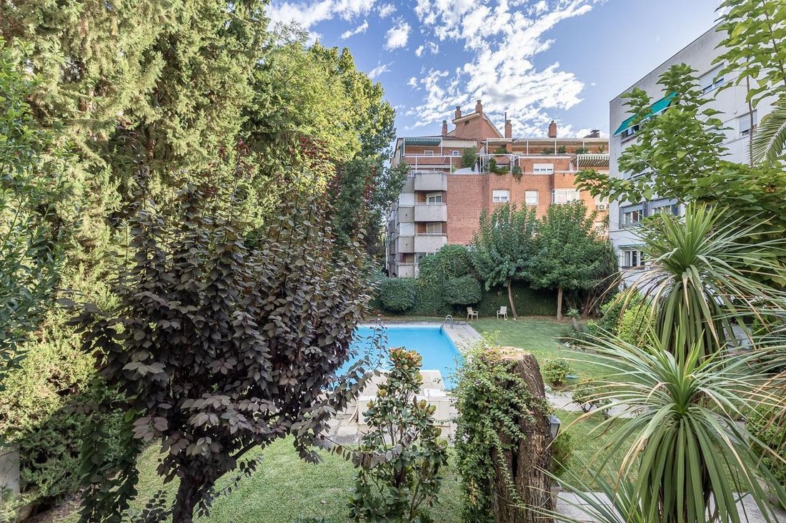 Apartment in Centro, Granada, Spain 5 - 18969341