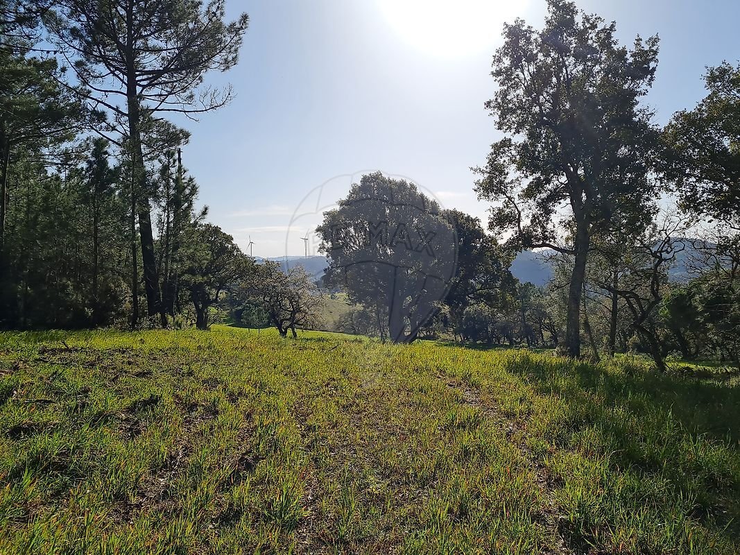 Land in Lousa, Lisbon, Portugal 3 - 18980569