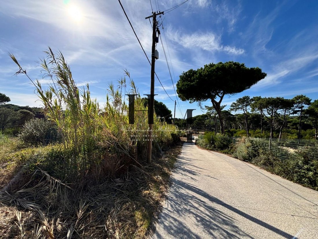 Land in Colares, Lisbon, Portugal 1 - 18837694