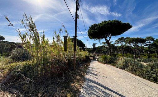 Land in Colares, Lisbon, Portugal 1