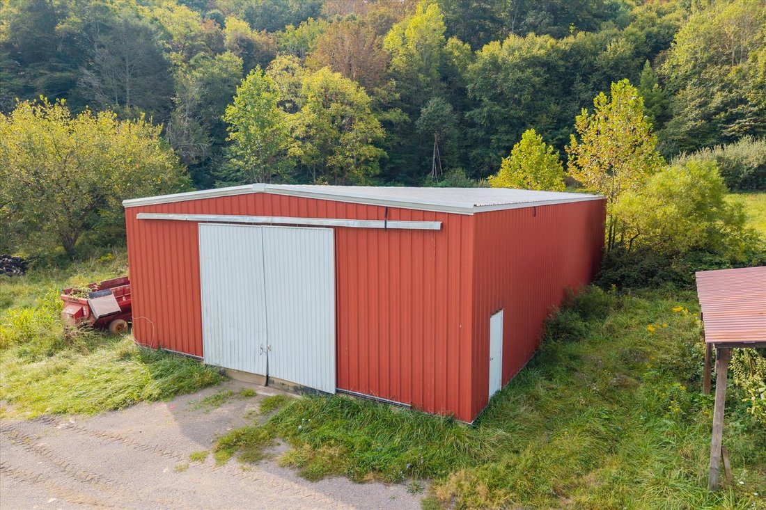 Farm Ranch in Bland, Virginia, United States 5 - 18974427