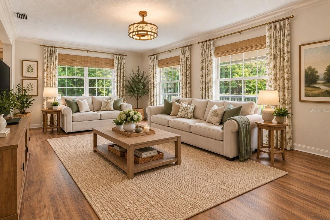 House in Palm Harbor, Florida, United States 3 - 18969049
