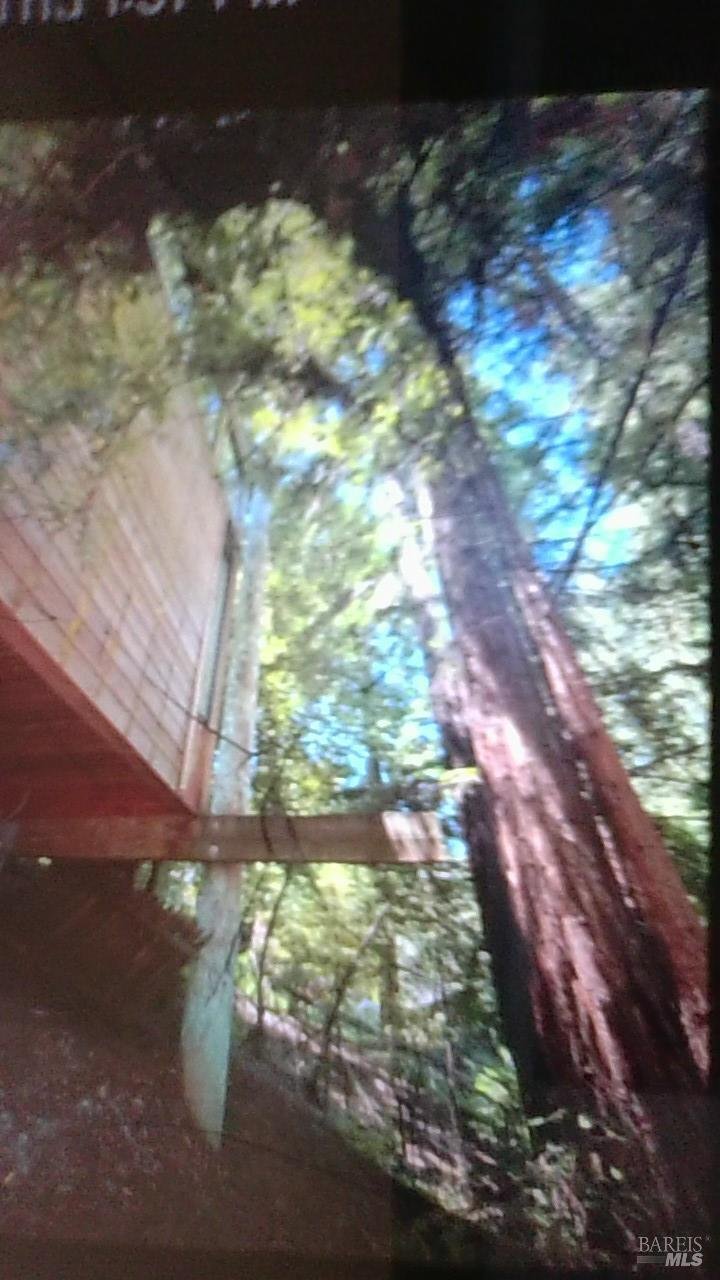 House in Mill Valley, California, United States 4 - 18968903
