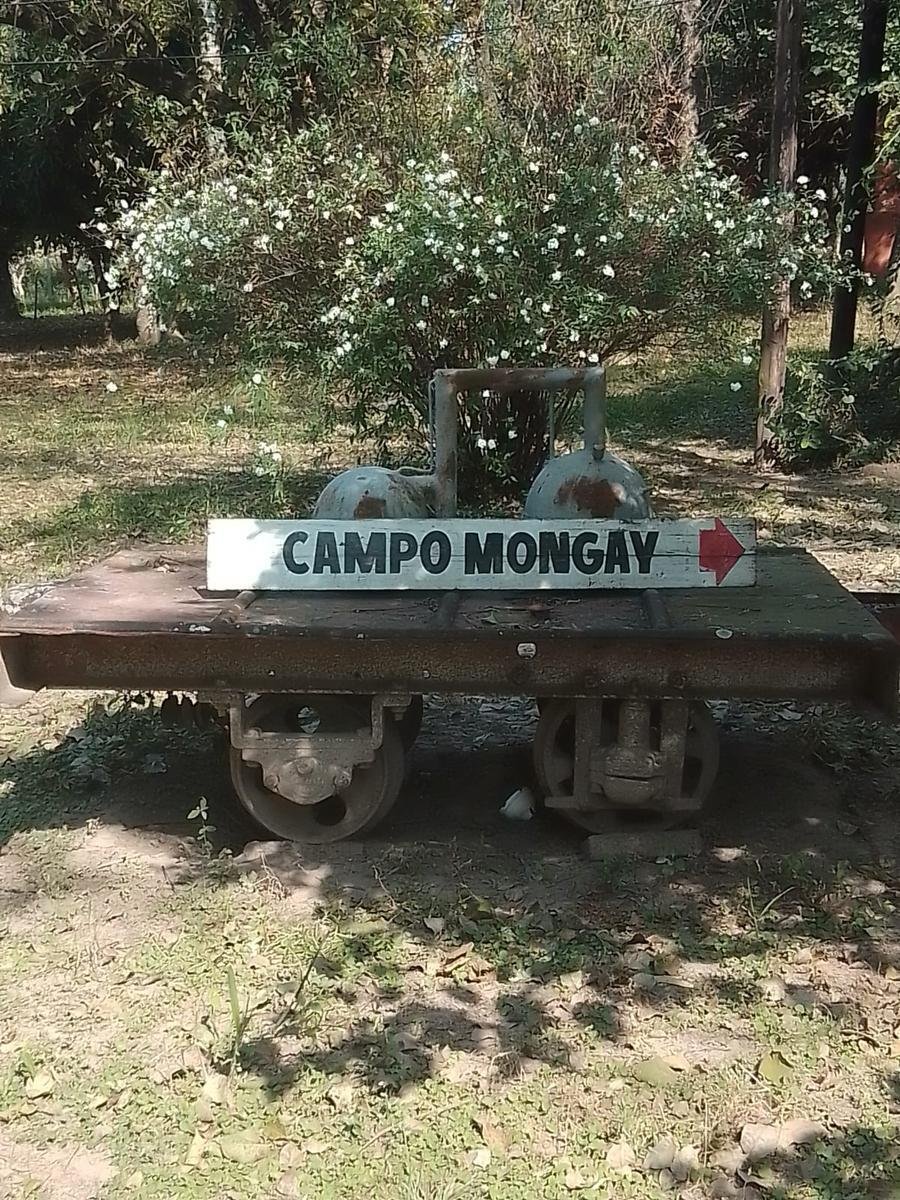 Farm Ranch in La Leonesa, Chaco Province, Argentina 4 - 18968447
