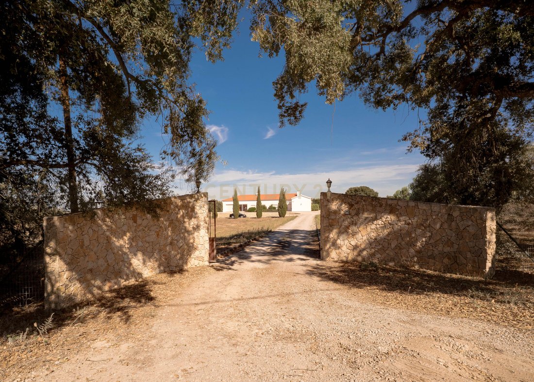 Farm Ranch in Palmela, Setubal, Portugal 3 - 18974286