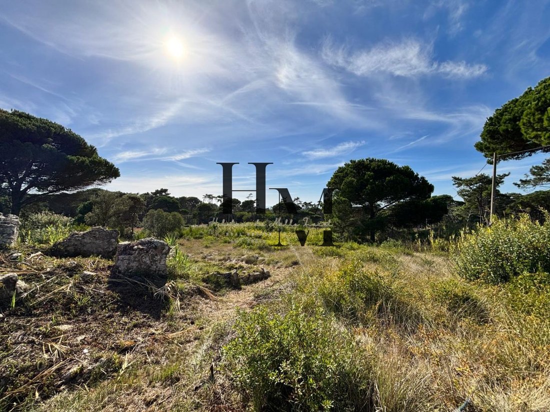 Land in Colares, Lisbon, Portugal 5 - 18837694