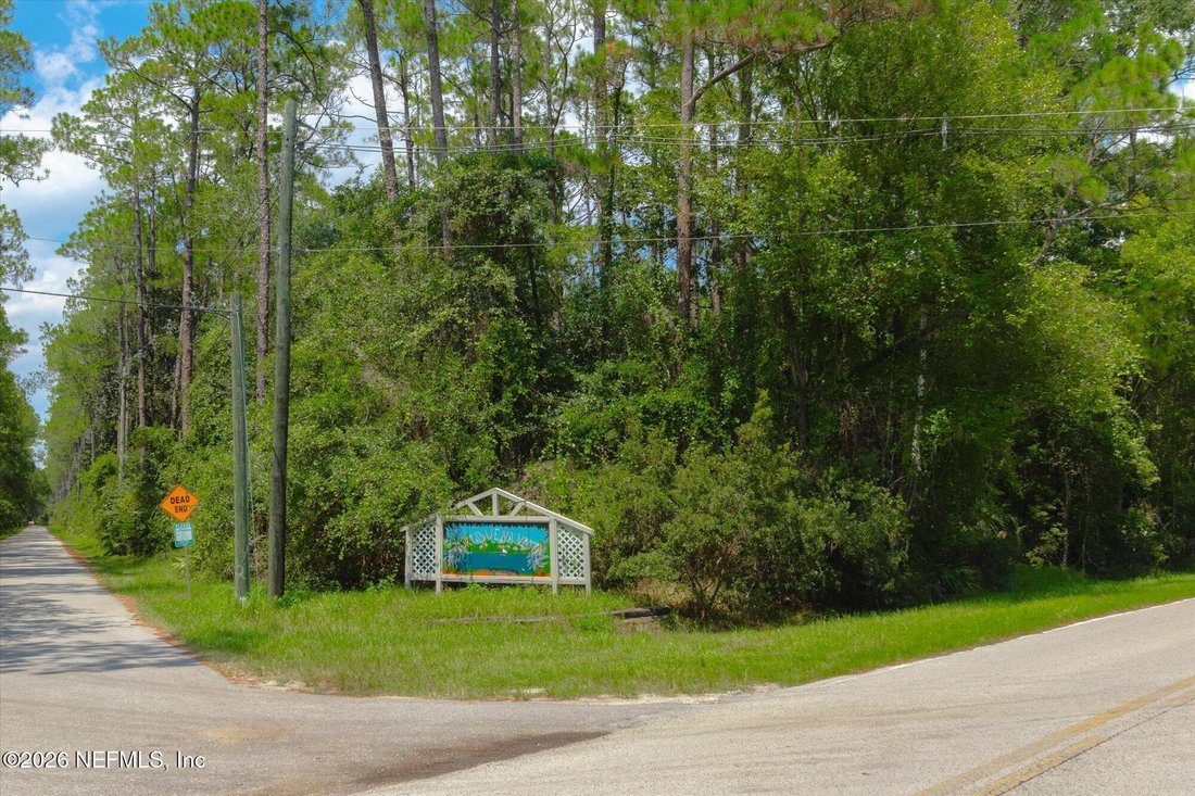 East Palatka, Florida, United States 1 - 18968554