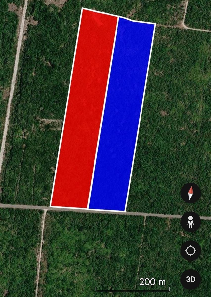Land in San Ignacio, Yucatan, Mexico 1 - 18981371
