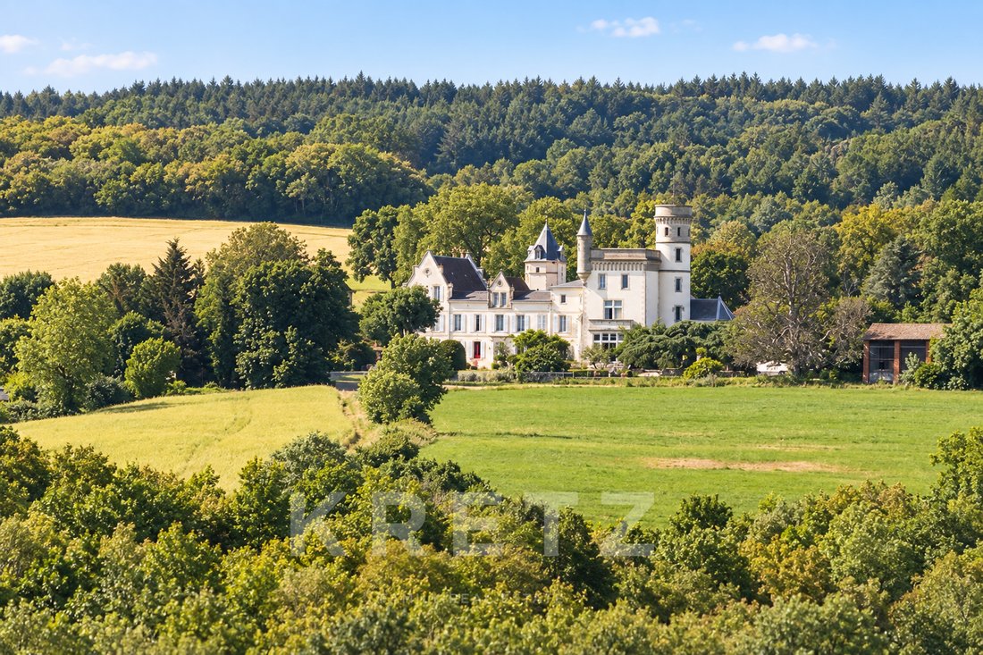 Castle in Berriac, Occitania, France 2 - 18978044