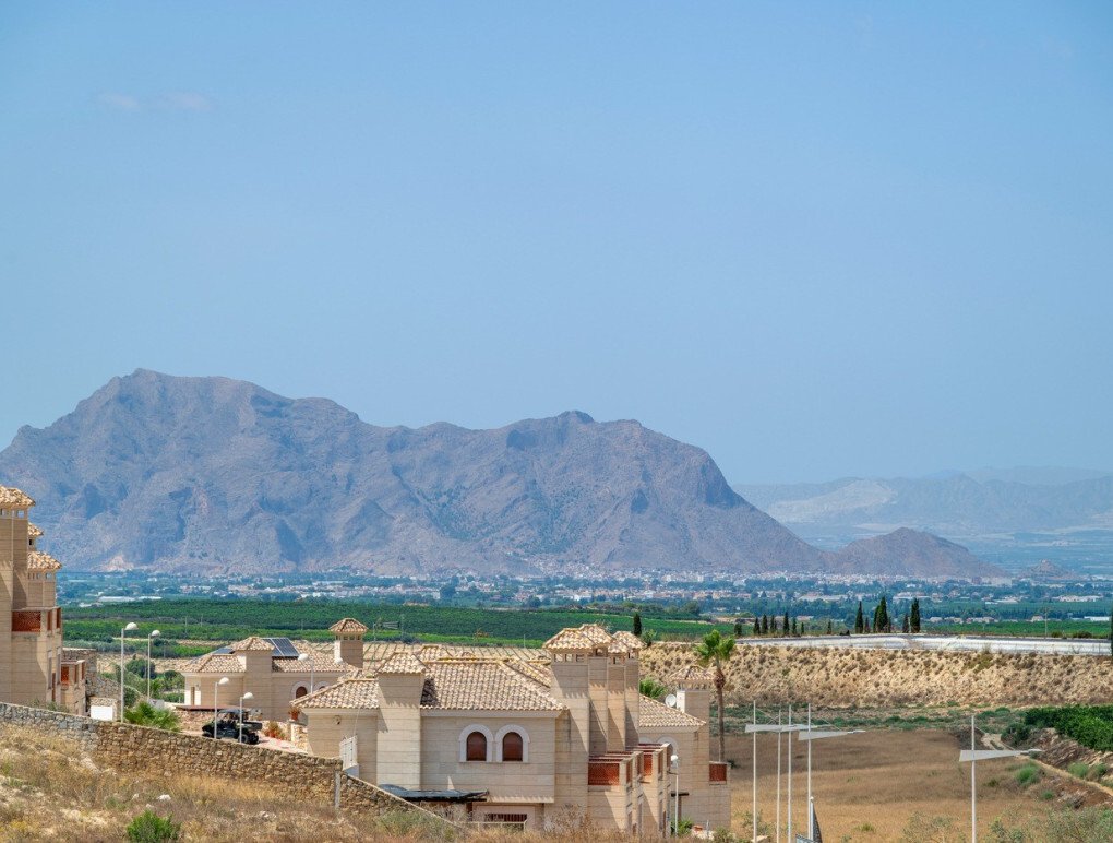 Villa in Algorfa, Valencian Community, Spain 2 - 18966442