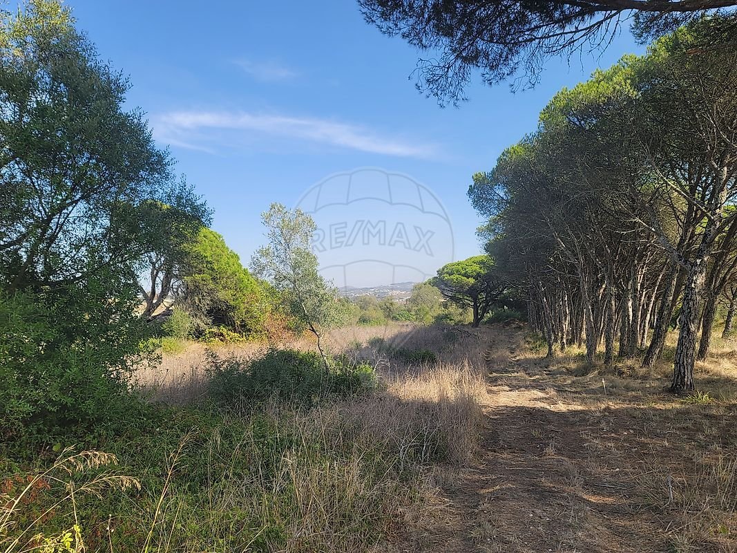 Land in São João das Lampas, Lisbon, Portugal 5 - 18976213