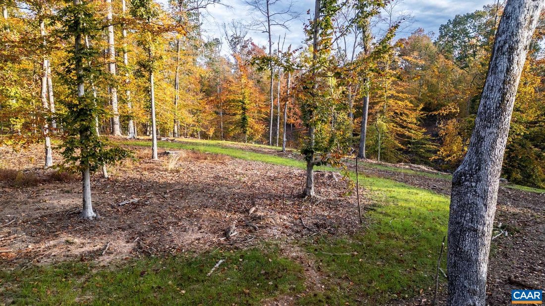 Land in Keswick, Virginia, United States 5 - 18971501