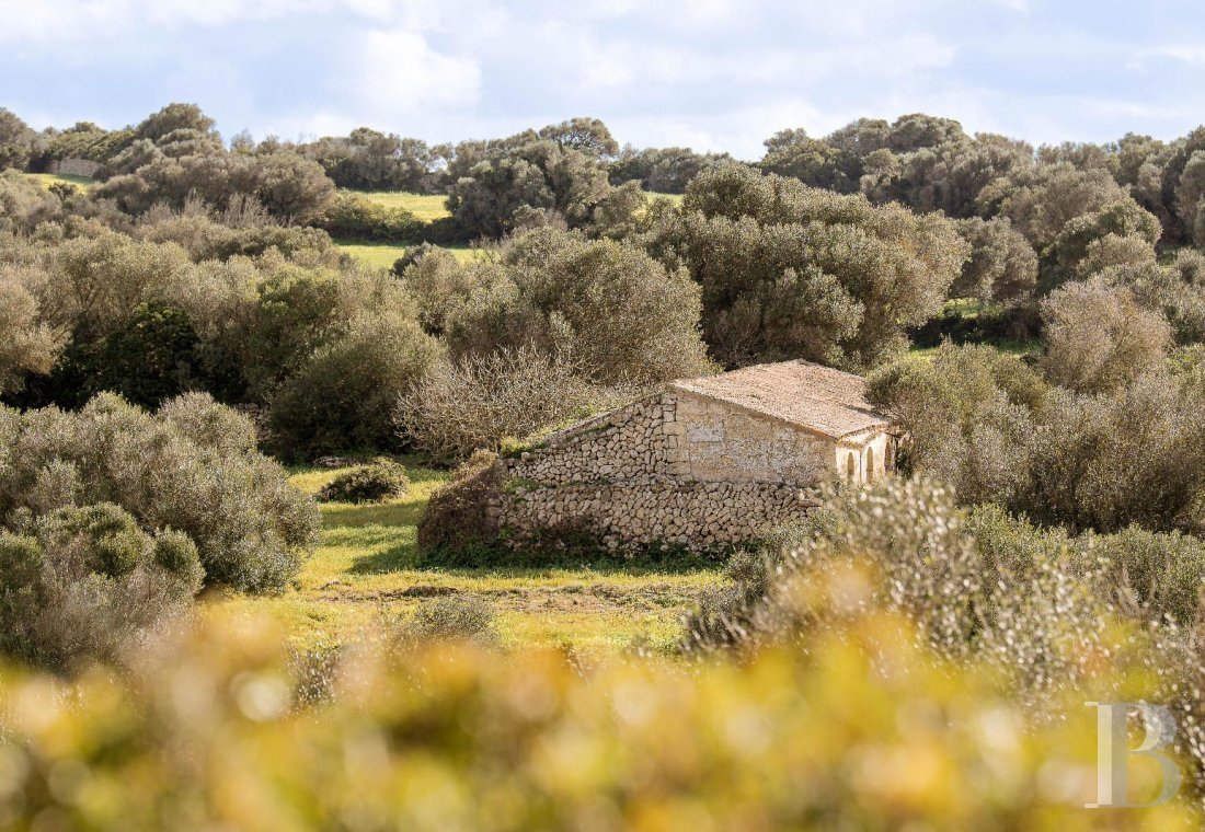 House in Ferreries, Balearic Islands, Spain 4 - 18971358