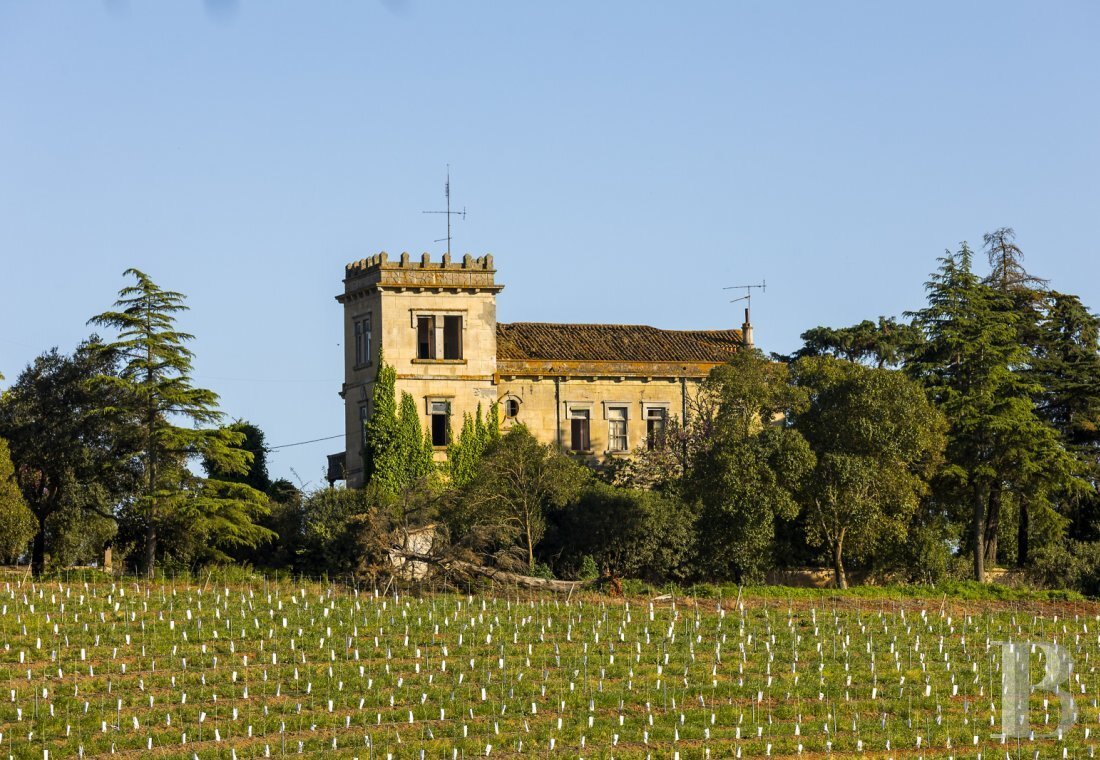 Villa in Sousel, Portalegre District, Portugal 3 - 18971323