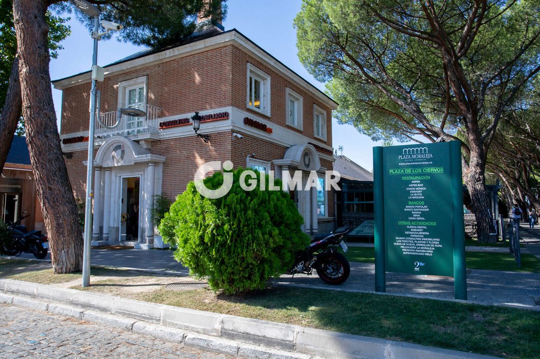 Apartment in Fuencarral-El Pardo, Madrid, Spain 2 - 18964721